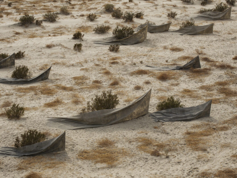 코첼라에 음악 페스티벌만 있는 건 아니다, Desert X 2025 13 dx25 muhannad shono 14 lance gerber 1