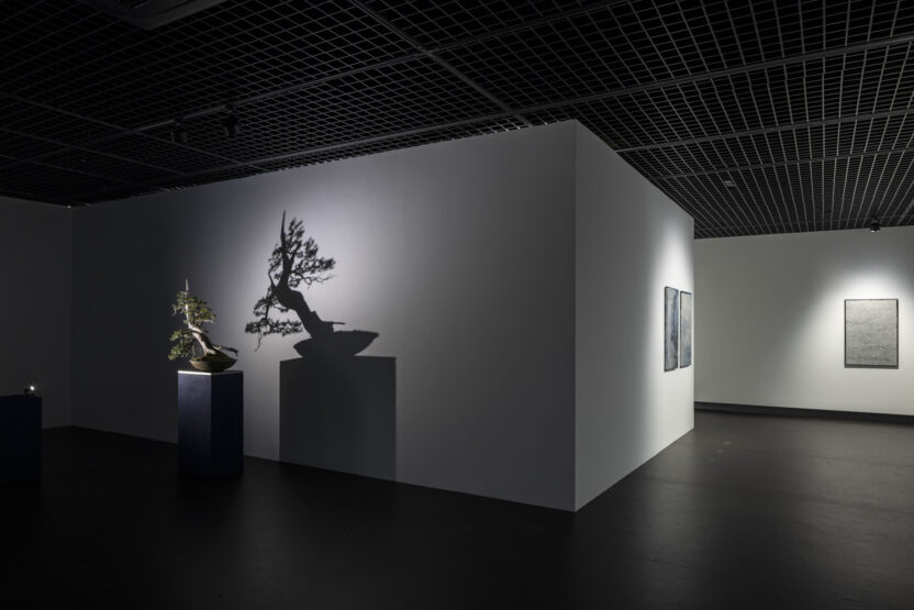 installation view 3 3