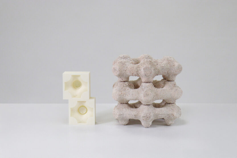 도시 속 생태 복원을 위한 작은 날갯짓, Egg Nest 3 20250514 023227