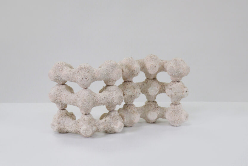 도시 속 생태 복원을 위한 작은 날갯짓, Egg Nest 10 20250514 025751