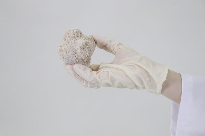 도시 속 생태 복원을 위한 작은 날갯짓, Egg Nest 9 MG 9521
