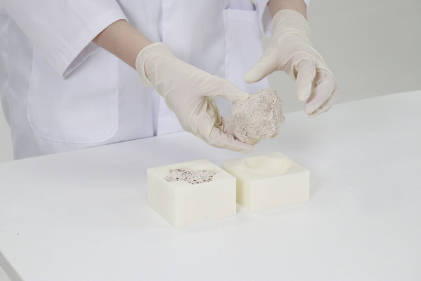 도시 속 생태 복원을 위한 작은 날갯짓, Egg Nest 8 MG 9670 1