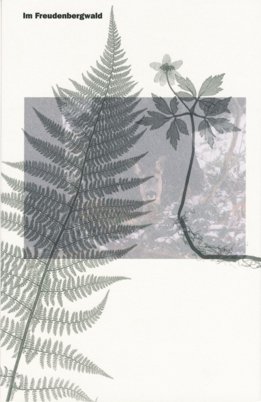 로컬이 직조한 새로운 세계 4 978 3 7291 1121 9 Freudenbergwald