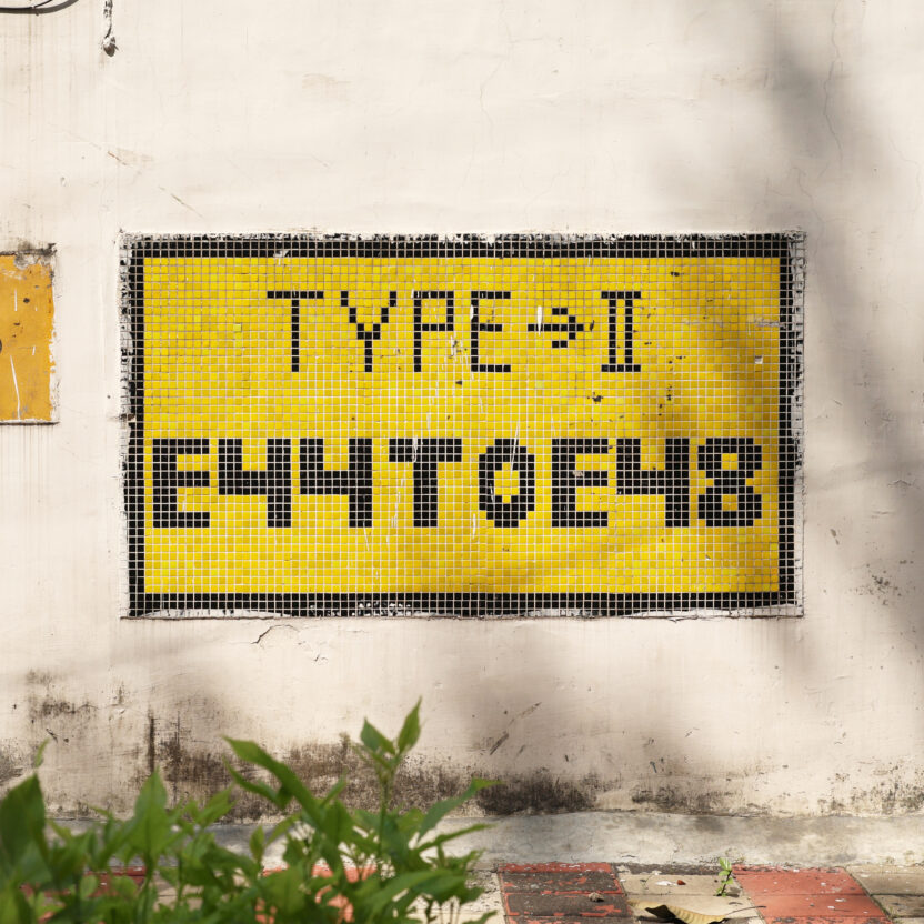 로컬이 직조한 새로운 세계 2 IndiaStreetLettering TypeII