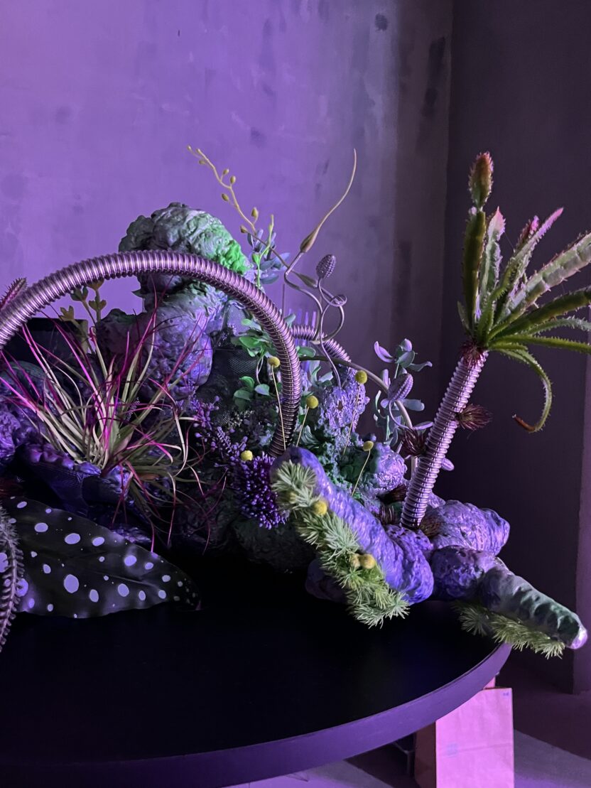 KakaoTalk 20250711 194229594 03