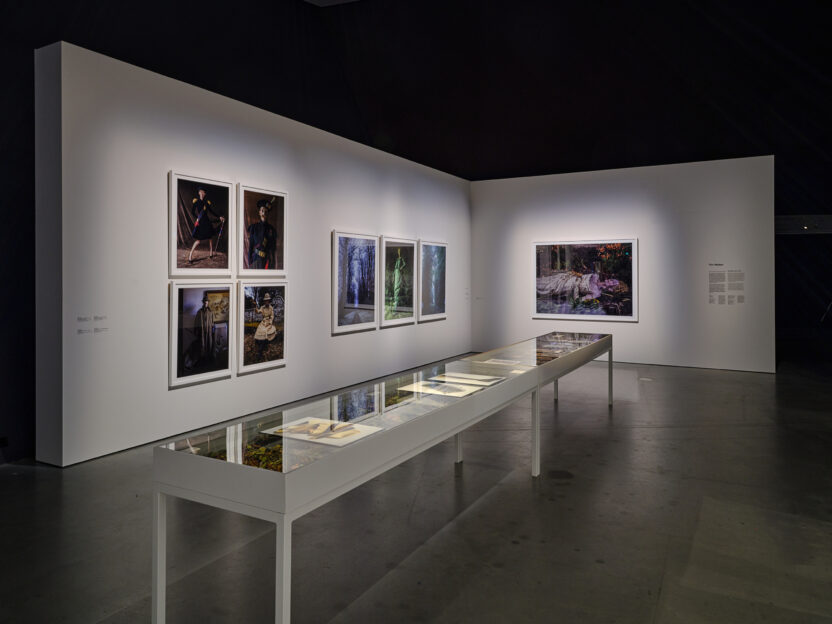 네덜란드 아이 필름뮤지엄, 틸다 스윈튼의 예술 세계를 전시하다 13 13