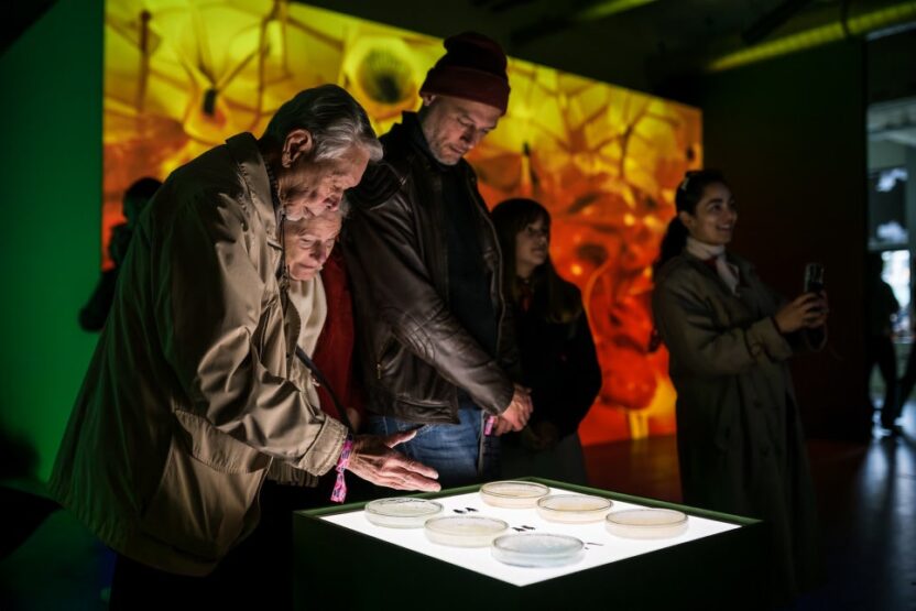 2025 더치 디자인 위크가 던진 질문들 24 15 1