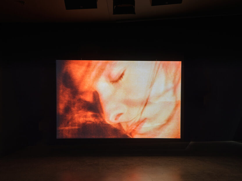 네덜란드 아이 필름뮤지엄, 틸다 스윈튼의 예술 세계를 전시하다 3 2