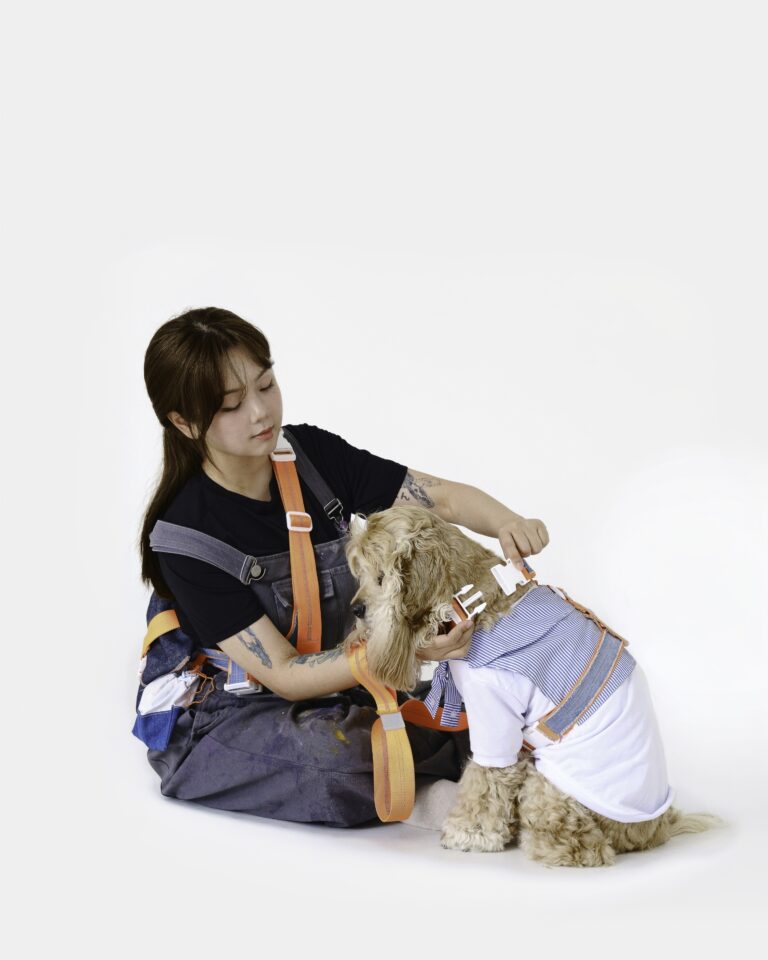 유기견과 가족을 잇는 첫 번째 옷, BOW-OUR