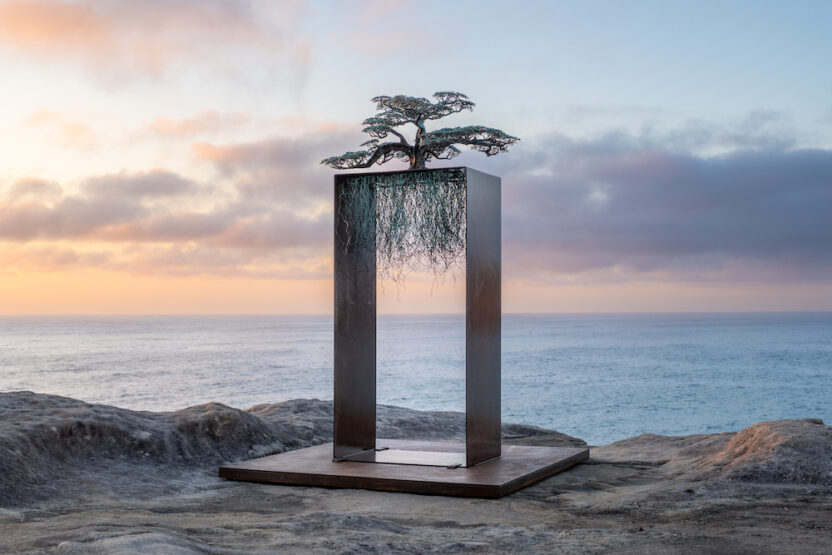 UlanRachelNSW FicusMaris SxSBondi2025 DVarrica 1 1