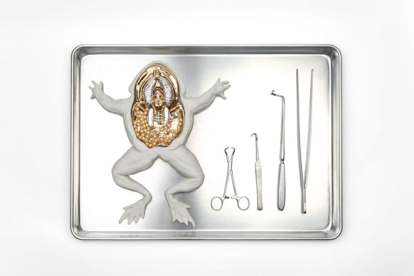 03 Dennis Anatomy Lessons II 2024 Samantha Dennis photo by Melanie de Ruyter