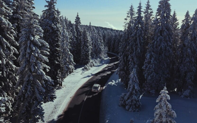 패션 브랜드의 홀리데이 캠페인 9 09 1