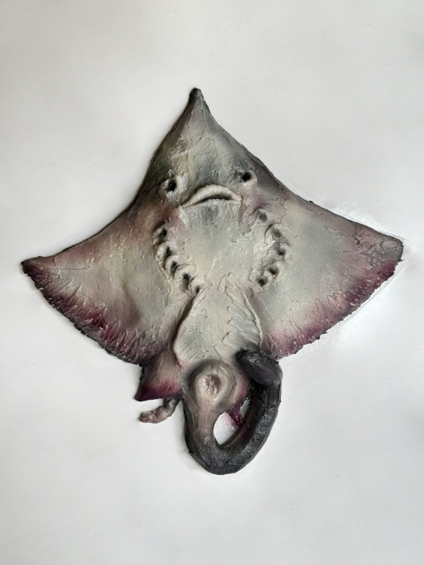 KakaoTalk 20251210 113019252 02