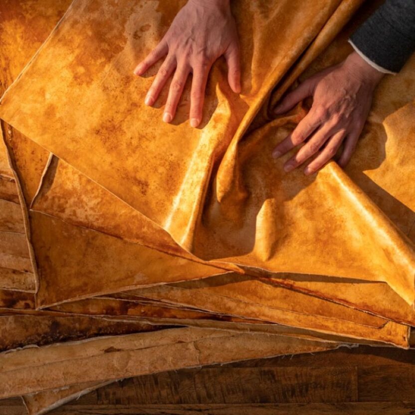 자동차 업계에 부는 '비건' 흐름 2 02 7