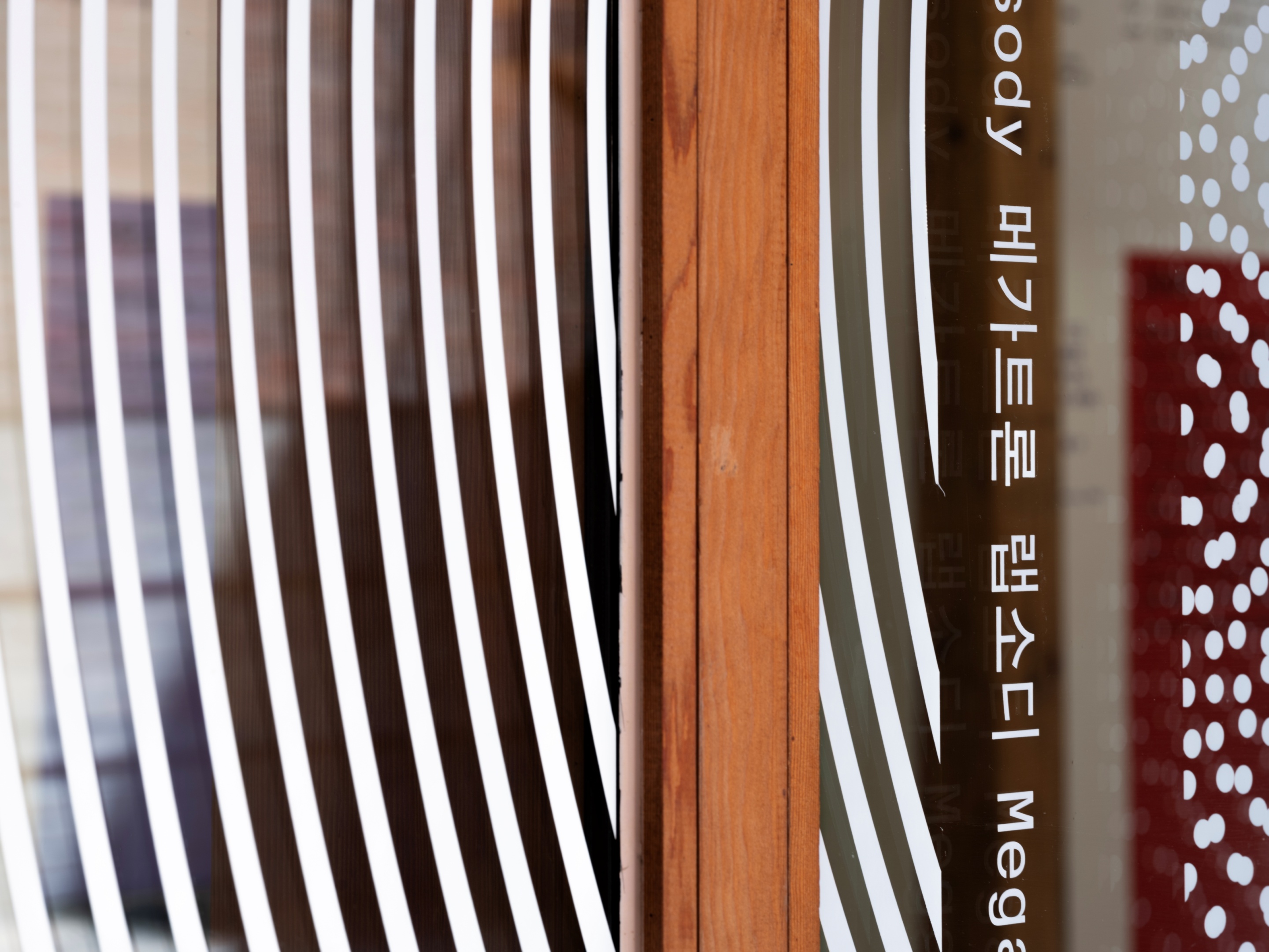 January, 2026 7 resize GFXJ5283