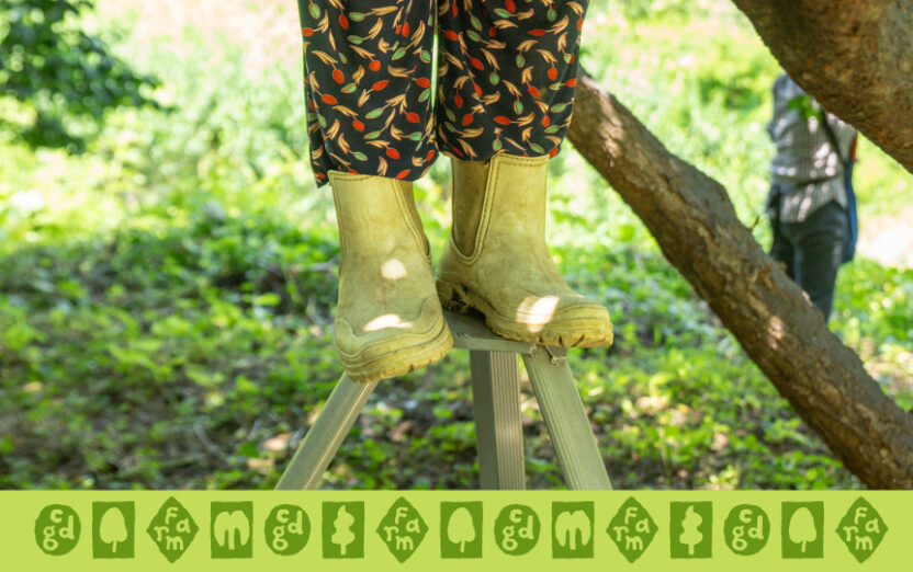 resize frontkit 06 cdgfarm photo