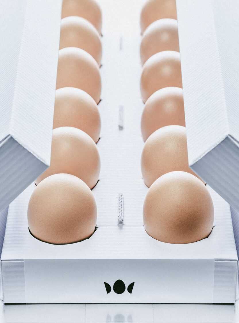 문화를 경작하는 새로운 시대의 농부, 킹스파머스 10 08c825b0d0707fca7a4590bd166a6ed8