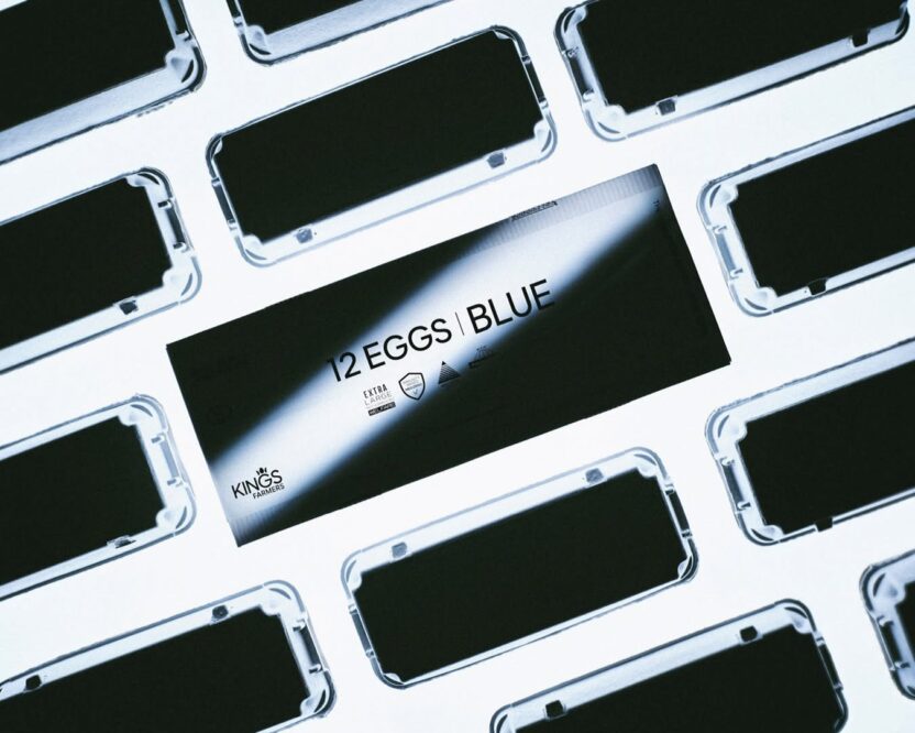 문화를 경작하는 새로운 시대의 농부, 킹스파머스 2 20260227 093848