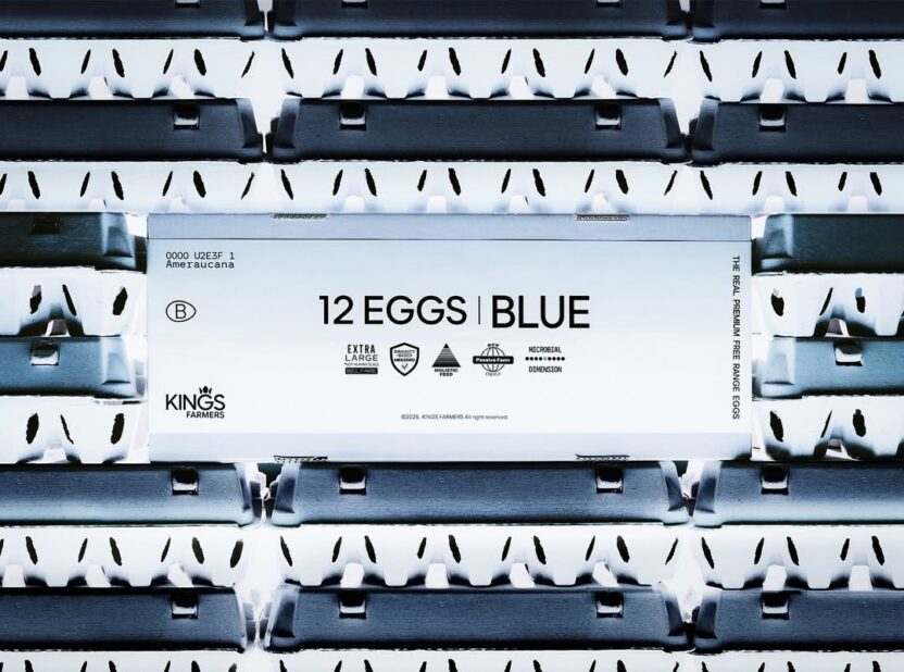 문화를 경작하는 새로운 시대의 농부, 킹스파머스 16 20260227 094037