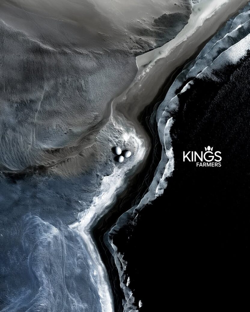 문화를 경작하는 새로운 시대의 농부, 킹스파머스 24 20260227 094247