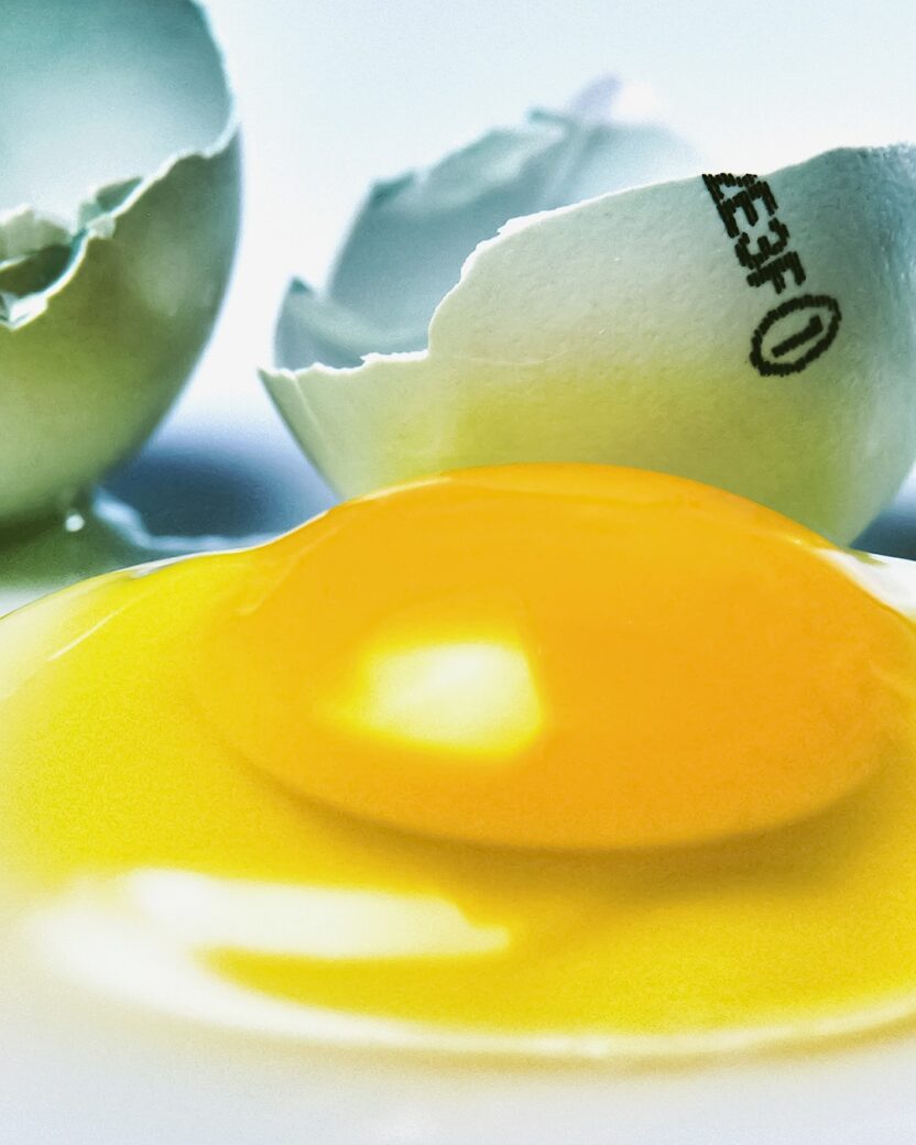 문화를 경작하는 새로운 시대의 농부, 킹스파머스 15 20260227 094429