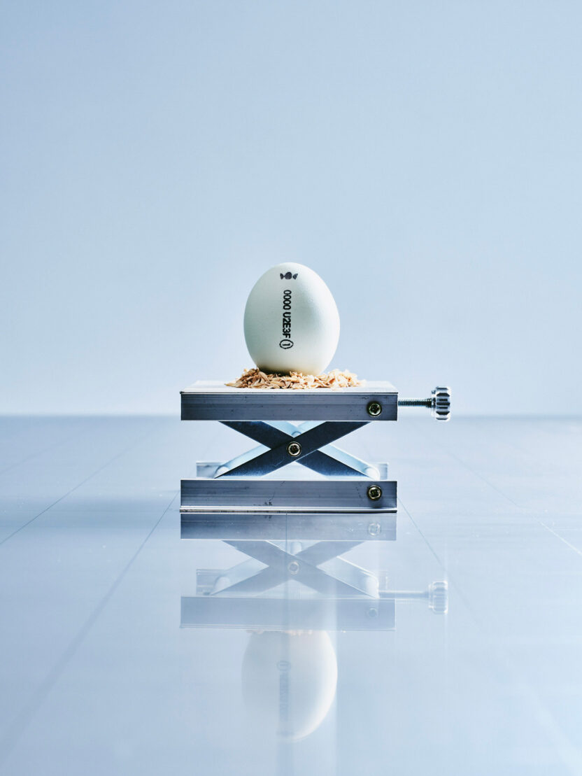 문화를 경작하는 새로운 시대의 농부, 킹스파머스 3 74ed496dba0b5f015d7aa16ee532a946