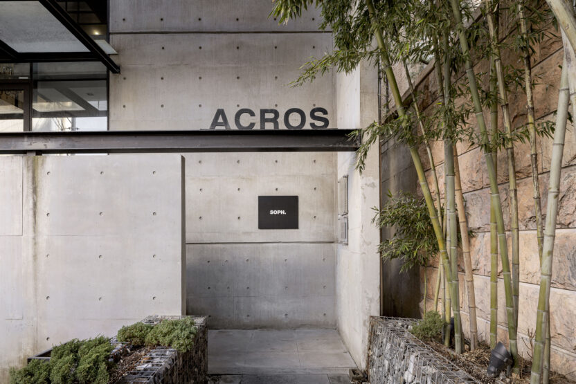 절제된 미학과 기능이 만난 공간, 소프. 도산(SOPH. DOSAN) 15 20260323 021907 1