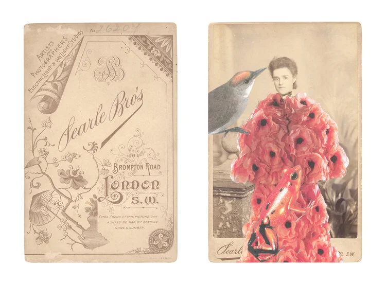 도서관에서 열린 페이퍼 아트 전시 5 6