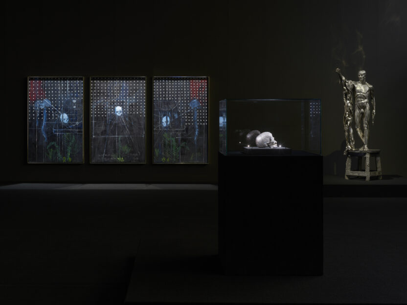 MMCA Seoul Skull Gallery V1