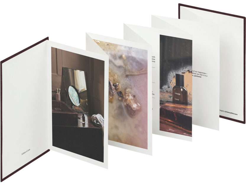 eidesis kit expanded 2 web