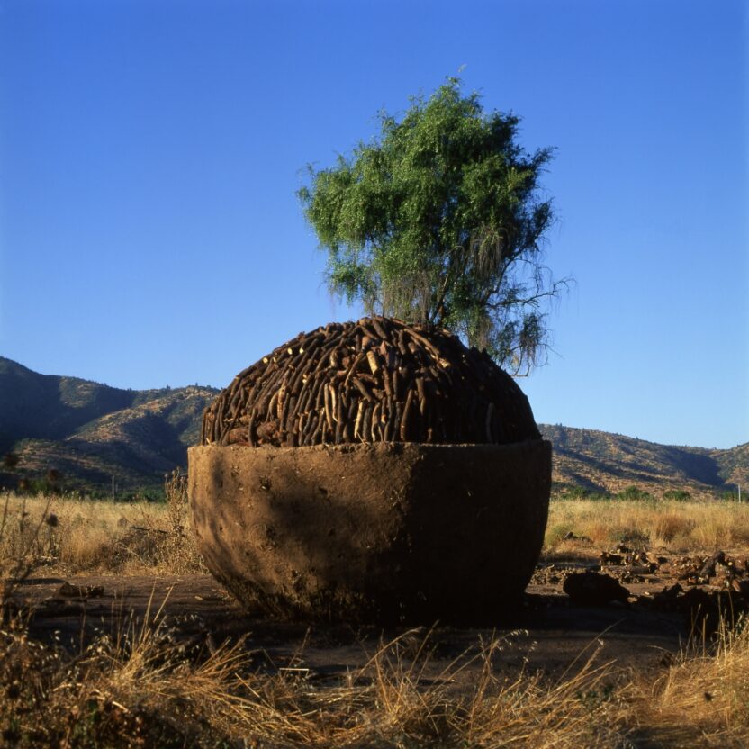 resize Carbonero House 1